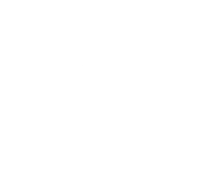 Troupify Logo White